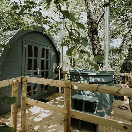 Ash Winter Retreat- Hot Tub & Log Bruner Barmouth Exterior photo